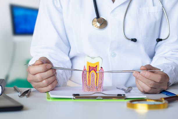 Best Emergency Denture Repair in Shrewsbury, PA